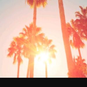 Meet your Posher, Benjamin